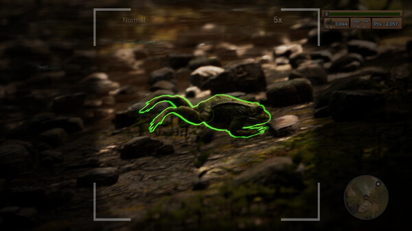 Morels: The Hunt screenshot 6