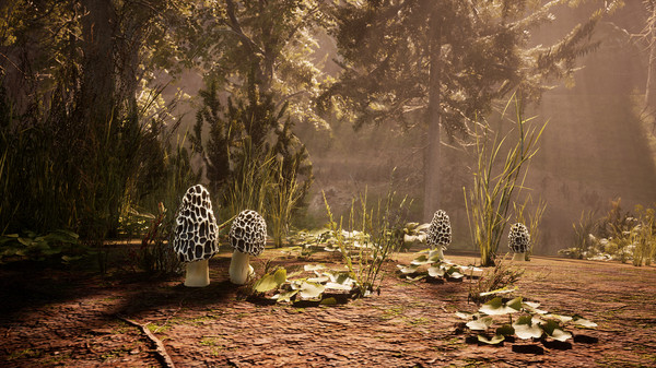 Morels: The Hunt screenshot 5