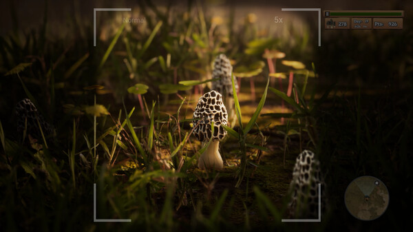 Morels: The Hunt screenshot 1