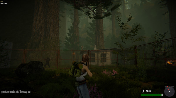 Jane Westlake Adventures - The Mystery Train screenshot 7