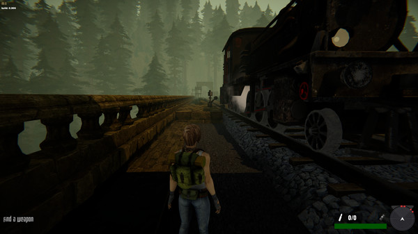 Jane Westlake Adventures - The Mystery Train screenshot 1