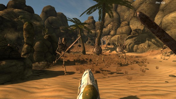 Desert coachman screenshot 1