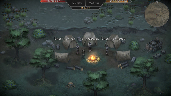Vampire's Fall: Origins screenshot 7