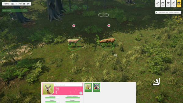 Natural Instincts: European Forest screenshot 3