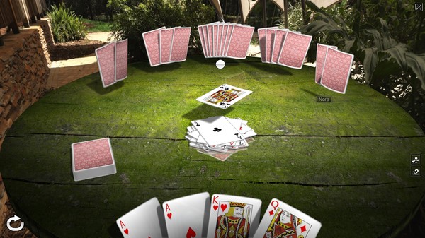 Crazy Eights 3D Premium screenshot 8