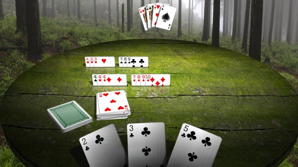 Gin Rummy 3D Premium screenshot 4