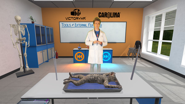 Dissection Simulator: Feline Edition screenshot 2