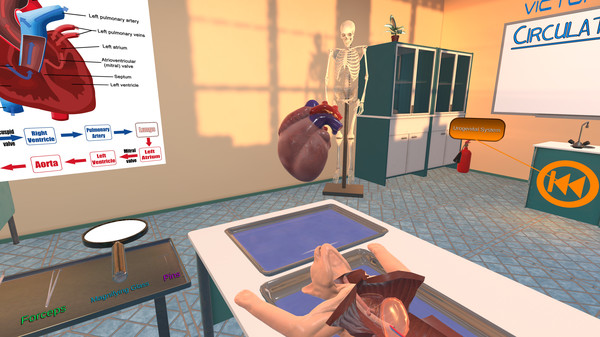 Dissection Simulator: Feline Edition screenshot 5