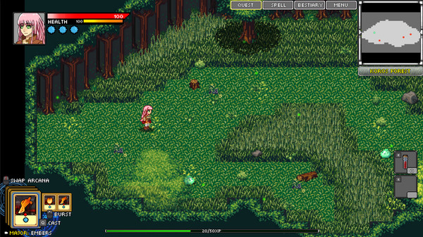 Hero Soul: I want to be a Hero! screenshot 1