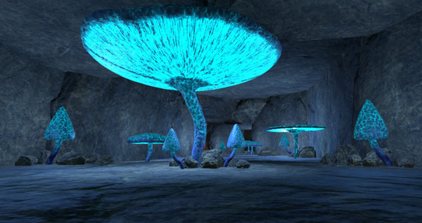 Parameter screenshot 5