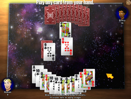 Classic Card Game Euchre screenshot 4