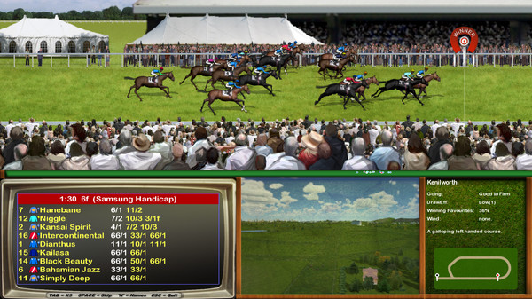 Starters Orders Classic Horse Racing screenshot 2