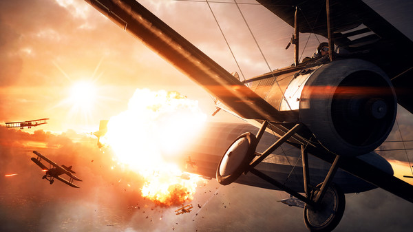 Battlefield 1 screenshot 7