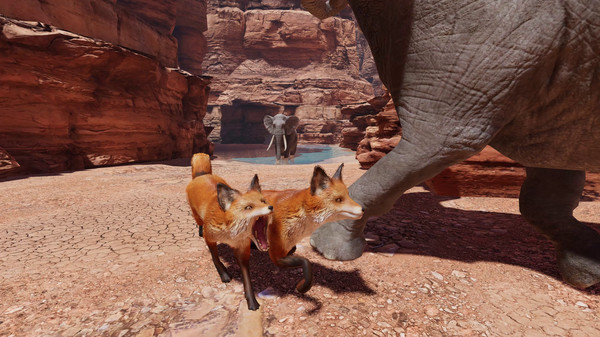 Food Chain screenshot 5