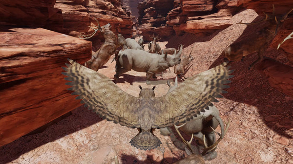 Food Chain screenshot 11