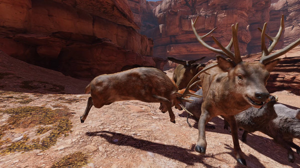 Food Chain screenshot 7