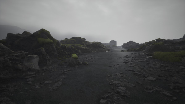 Mýrdalssandur, Iceland screenshot 5