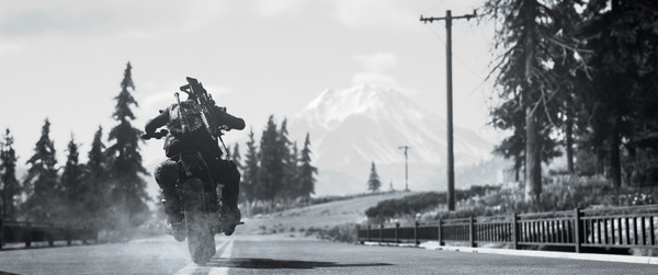 Days Gone screenshot 8