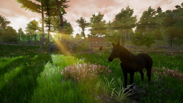 Horse Riding Deluxe 2 screenshot 7