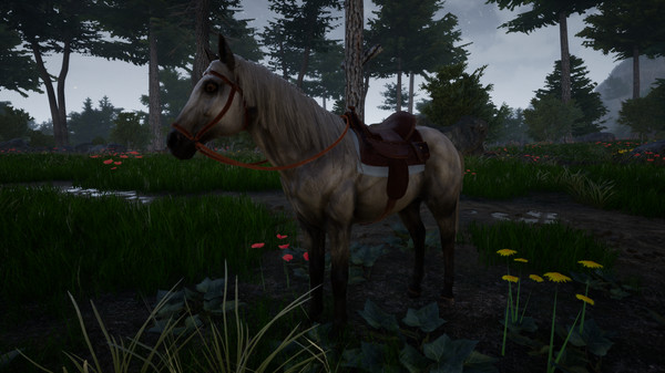 Horse Riding Deluxe 2 screenshot 10