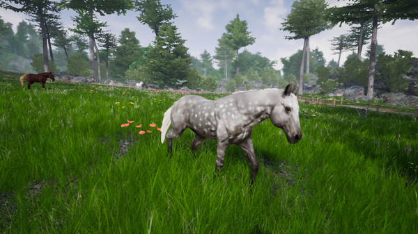 Horse Riding Deluxe 2 screenshot 3