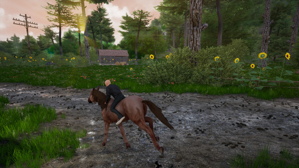 Horse Riding Deluxe 2 screenshot 8