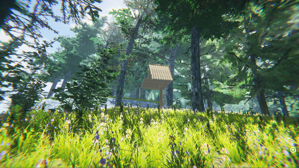 The Jungle screenshot 9