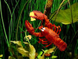 Aquarium Life screenshot 4