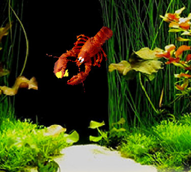 Aquarium Life screenshot 3