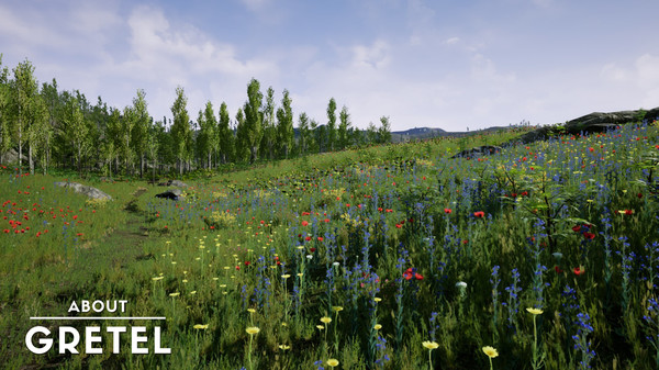 About Gretel screenshot 8