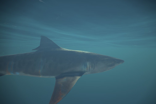 Memory Illusions screenshot 8