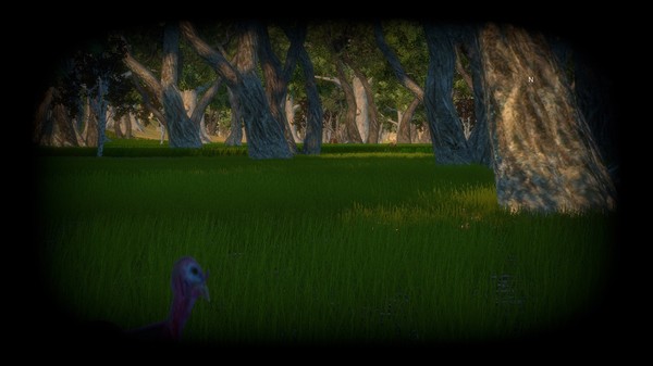 Turkey Hunting Unlimited screenshot 4