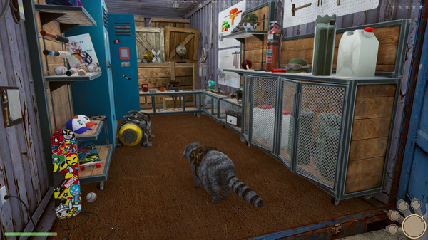 Wanted Raccoon screenshot 11