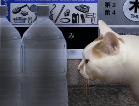 Tsugunohi screenshot 8