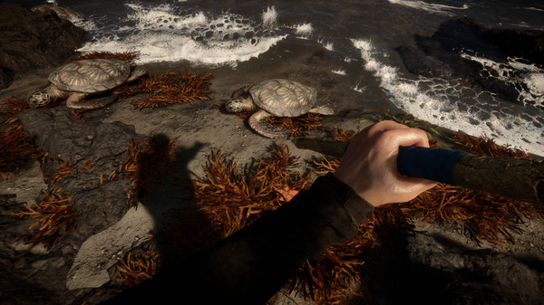 Sons Of The Forest screenshot 11