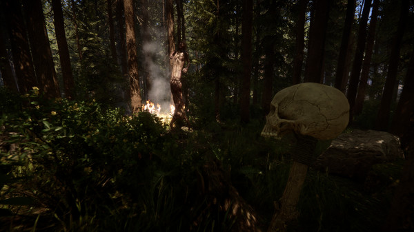 Sons Of The Forest screenshot 9
