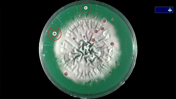 Coronavirus - Nano Force screenshot 6