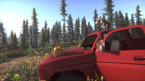 Mushroom Challenge screenshot 4