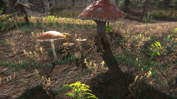 Mushroom Challenge screenshot 8