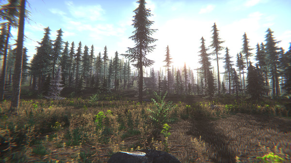 Mushroom Challenge screenshot 5
