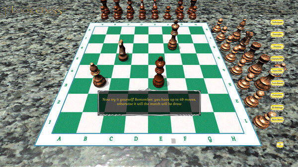 Floor Chess screenshot 7