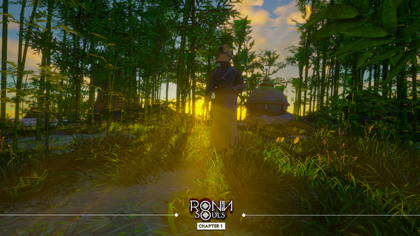 RONIN: Two Souls CHAPTER 1 screenshot 12