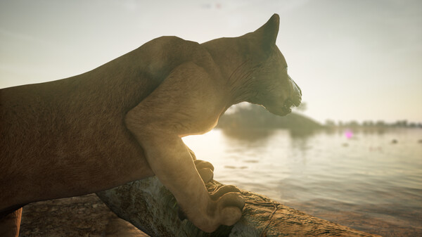 Animalia Survival screenshot 7