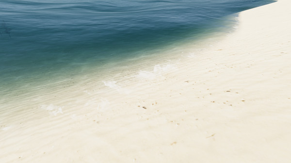 Bromeliad screenshot 7