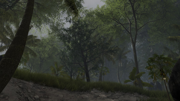 Bromeliad screenshot 9