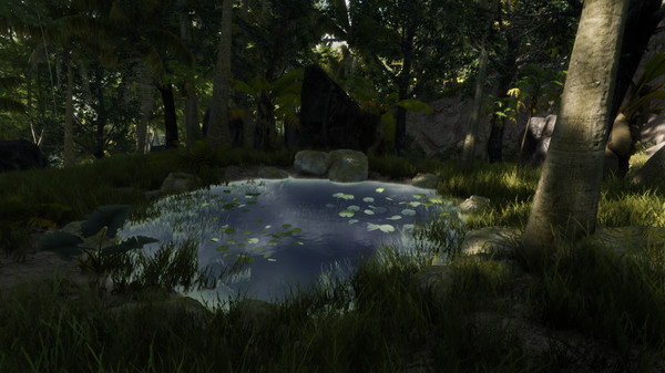Bromeliad screenshot 5