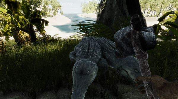 Bromeliad screenshot 4