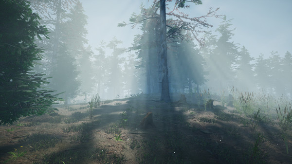 Mushroom Picker Simulator screenshot 1