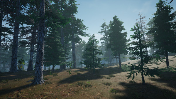 Mushroom Picker Simulator screenshot 12