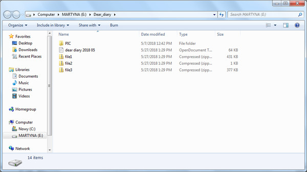 The USB Stick Found in the Grass screenshot 4